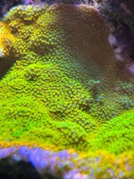 IMG_2720.jpeg