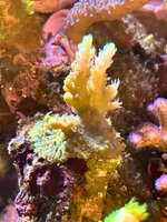 IMG_2749.jpeg