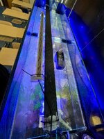 IMG_9769.jpeg