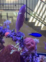 IMG_9778.jpeg