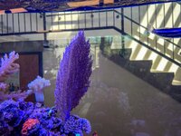 IMG_9777.jpeg