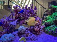 IMG_9776.jpeg