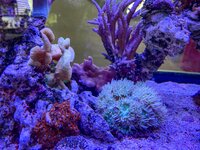 IMG_9773.jpeg