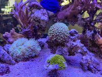 IMG_9772.jpeg