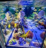 IMG_9790.jpeg
