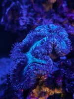 20250523_224840.jpg