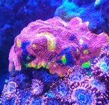 20250525_193954.jpg