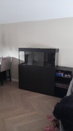 aquarium1.jpeg aquarium1.jpeg