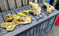 PXL_20250530_093846436~2.jpg