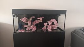 Aquarium3.jpg Aquarium3.jpg