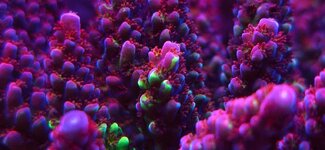 20250602_070934.jpg