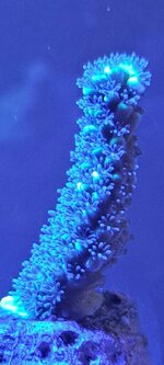 20250602_211306.jpg
