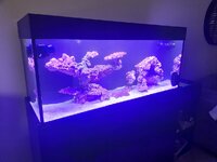 Aquariumverlicht.jpg