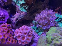 IMG_7778.jpg IMG_7778.jpg