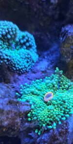 20250606_165917.jpg