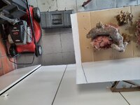 IMG_20250607_171424.jpg