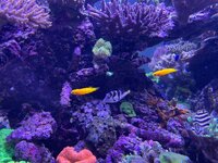 IMG_9869.jpeg