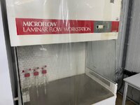 IMG_9874.jpeg