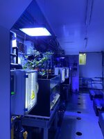 IMG_9887.jpeg