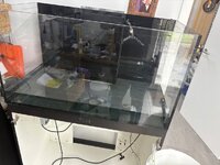 IMG_1054.jpeg