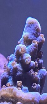 20250614_153307.jpg