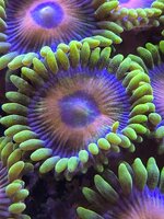20250621_145123.jpg