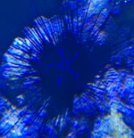 20250622_205342.jpg