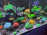 IMG_6160.jpg