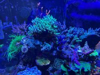 IMG_6230.jpg