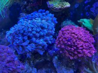 IMG_6227.jpg