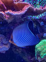 IMG_9987.jpeg
