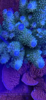 IMG_7678.jpeg
