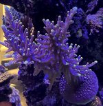 IMG_0142.JPG