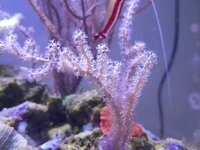 20250710_204127.jpg