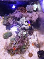 20250710_204637.jpg