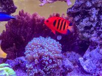 IMG_0153.jpeg