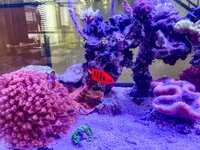 IMG_0149.jpeg