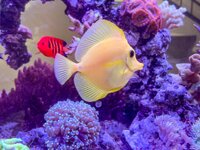 IMG_0154.jpeg