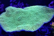 IMG_0148.JPG