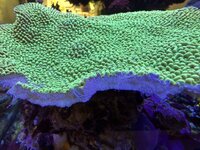 IMG_0149.JPG