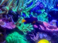 IMG_0251.jpeg