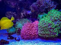 IMG_0253.jpeg