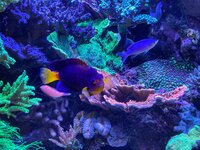 IMG_0255.jpeg