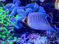 IMG_0291.jpeg