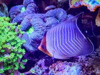 IMG_0296.jpeg