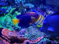 IMG_0289.jpeg