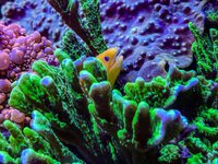 IMG_0285.jpeg