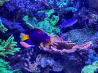 IMG_0255.jpeg