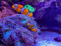 IMG_0298.jpeg