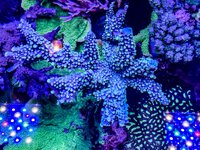 IMG_0315.jpeg